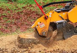 Best Lawn Pest Prevention  in Winchester, CA
